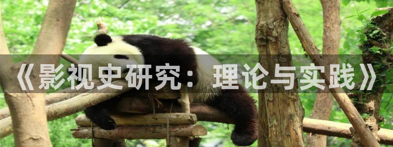 爱丫爱丫在线观看免费高清电视剧有：《影视史研究：理论与实践》