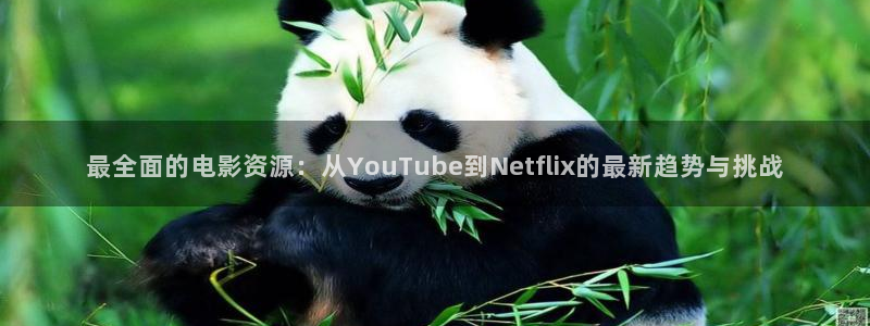 爱丫爱丫影院在线：最全面的电影资源：从YouTube到Netflix的最新趋势与挑战