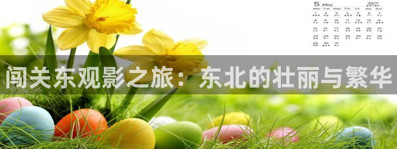 爱丫爱丫电影电视剧免费播放：闯关东观影之旅：东北的壮丽与繁华