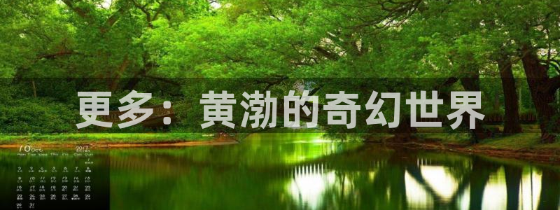 爱丫爱丫高清在线观看电视剧未成年女孩：更多：黄渤的奇幻世界
