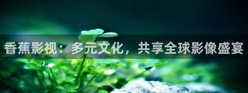 爱丫爱丫在线影院电视剧小说免费：香蕉影视：多元文化，共享全球影像盛宴