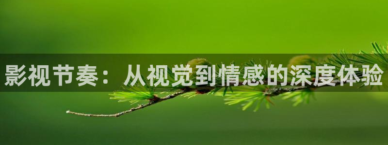 爱丫爱丫影院电视剧新：影视节奏：从视觉到情感的深度体验