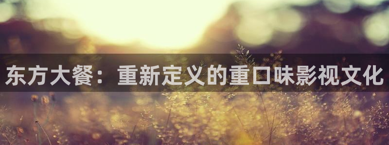 爱丫爱丫影院电视剧高清播放：东方大餐：重新定义的重口味影视文化