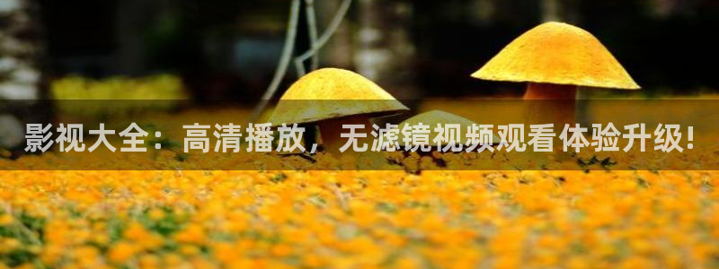爱丫爱丫在线影院电视剧小说免费：影视大全：高清播放，无滤镜视频观看体验升级!