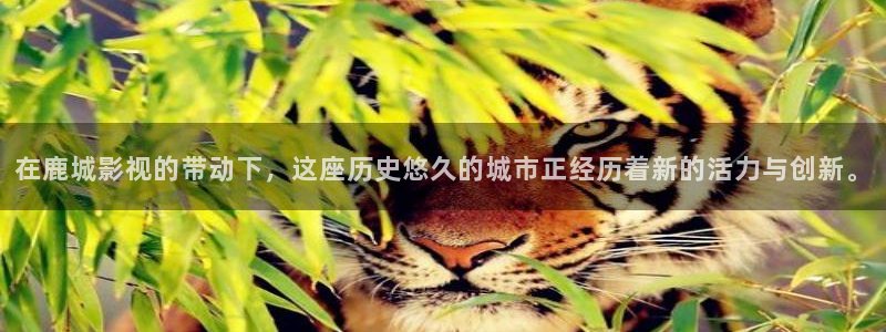 爱丫爱丫在线观看电视剧：在鹿城影视的带动下，这座历史悠久的城市正经历着新的活力与创新。
