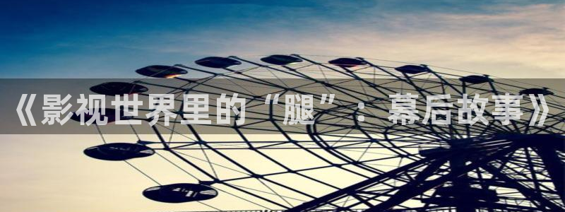 爱丫爱丫电视剧在线观看免费播放 动漫：《影视世界里的“腿”：幕后故事》