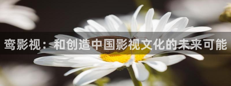 爱丫爱丫影院免费观看电视剧版：鸾影视：和创造中国影视文化的未来可能