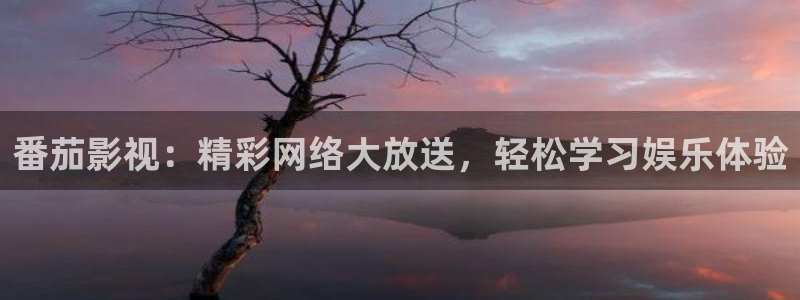 爱丫爱丫兄妹在线影院电视剧小说：番茄影视：精彩网络大放送，轻松学习娱乐体验