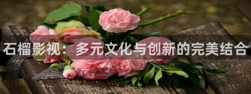 爱丫爱丫兄弟影院电视剧免费播放：石榴影视：多元文化与创新的完美结合